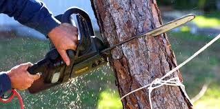 Best Lawn Mowing  in Lanett, AL