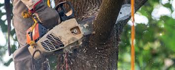Best Hazardous Tree Removal  in Lanett, AL