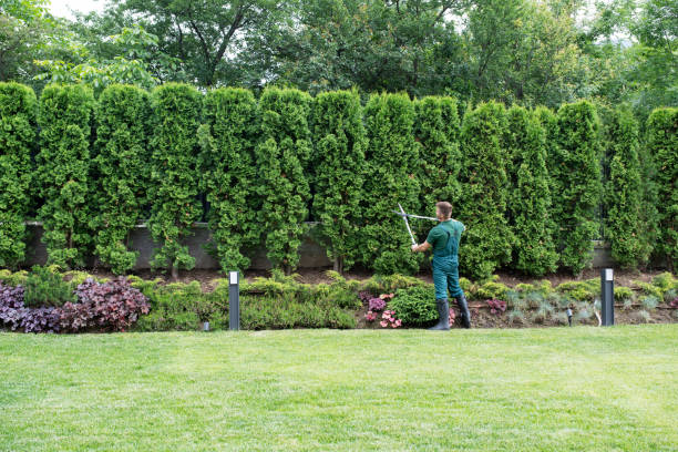 Best Leaf Removal  in Lanett, AL