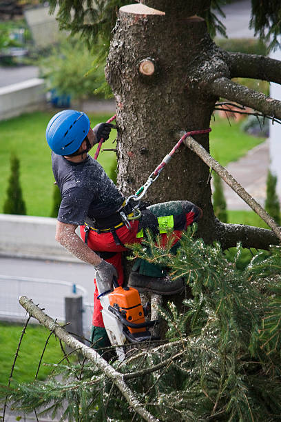 Best Tree Disease Treatment  in Lanett, AL